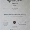 Powiększ obraz: certificate 12