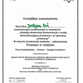 Powiększ obraz: certificate 5