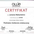 Powiększ obraz: certificate 8
