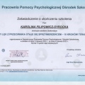 Powiększ obraz: certificate 1