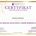 Powiększ obraz: certificate 5