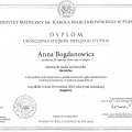 Powiększ obraz: certificate 2