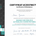 Powiększ obraz: certificate 1