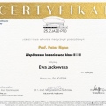 Powiększ obraz: certificate 4