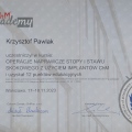 Powiększ obraz: certificate 14