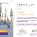Powiększ obraz: certificate 3