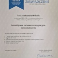 Powiększ obraz: certificate 1