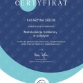 Powiększ obraz: certificate 6