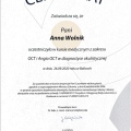 Powiększ obraz: certificate 32