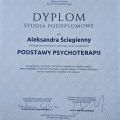 Powiększ obraz: certificate 1
