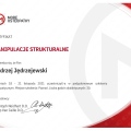 Powiększ obraz: certificate 9