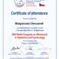 Powiększ obraz: certificate 13
