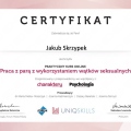 Powiększ obraz: certificate 8