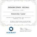 Powiększ obraz: certificate 4