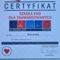 Powiększ obraz: certificate 4
