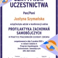 Powiększ obraz: certificate 2