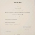 Powiększ obraz: certificate 9