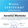 Powiększ obraz: certificate 23