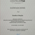 Powiększ obraz: certificate 2