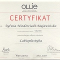 Powiększ obraz: certificate 11