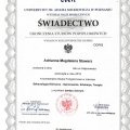 Powiększ obraz: certificate 4