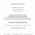 Powiększ obraz: certificate 10