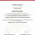 Powiększ obraz: certificate 11