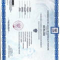 Powiększ obraz: certificate 1
