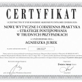 Powiększ obraz: certificate 68