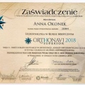 Powiększ obraz: certificate 29