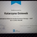 Powiększ obraz: certificate 9