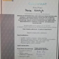 Powiększ obraz: certificate 13