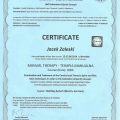 Powiększ obraz: certificate 4
