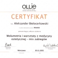 Powiększ obraz: certificate 4