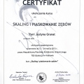 Powiększ obraz: certificate 8