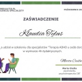 Powiększ obraz: certificate 2