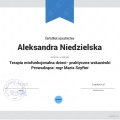 Powiększ obraz: certificate 2
