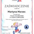 Powiększ obraz: certificate 50