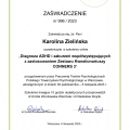 Powiększ obraz: certificate 3