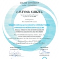 Powiększ obraz: certificate 12