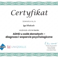 Powiększ obraz: certificate 13