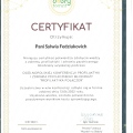 Powiększ obraz: certificate 6