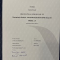 Powiększ obraz: certificate 13