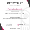 Powiększ obraz: certificate 11