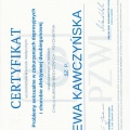 Powiększ obraz: certificate 7