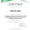 Powiększ obraz: certificate 3