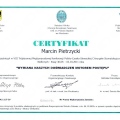 Powiększ obraz: certificate 130