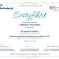 Powiększ obraz: certificate 3
