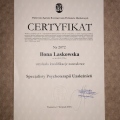 Powiększ obraz: certificate 1