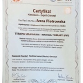 Powiększ obraz: certificate 7